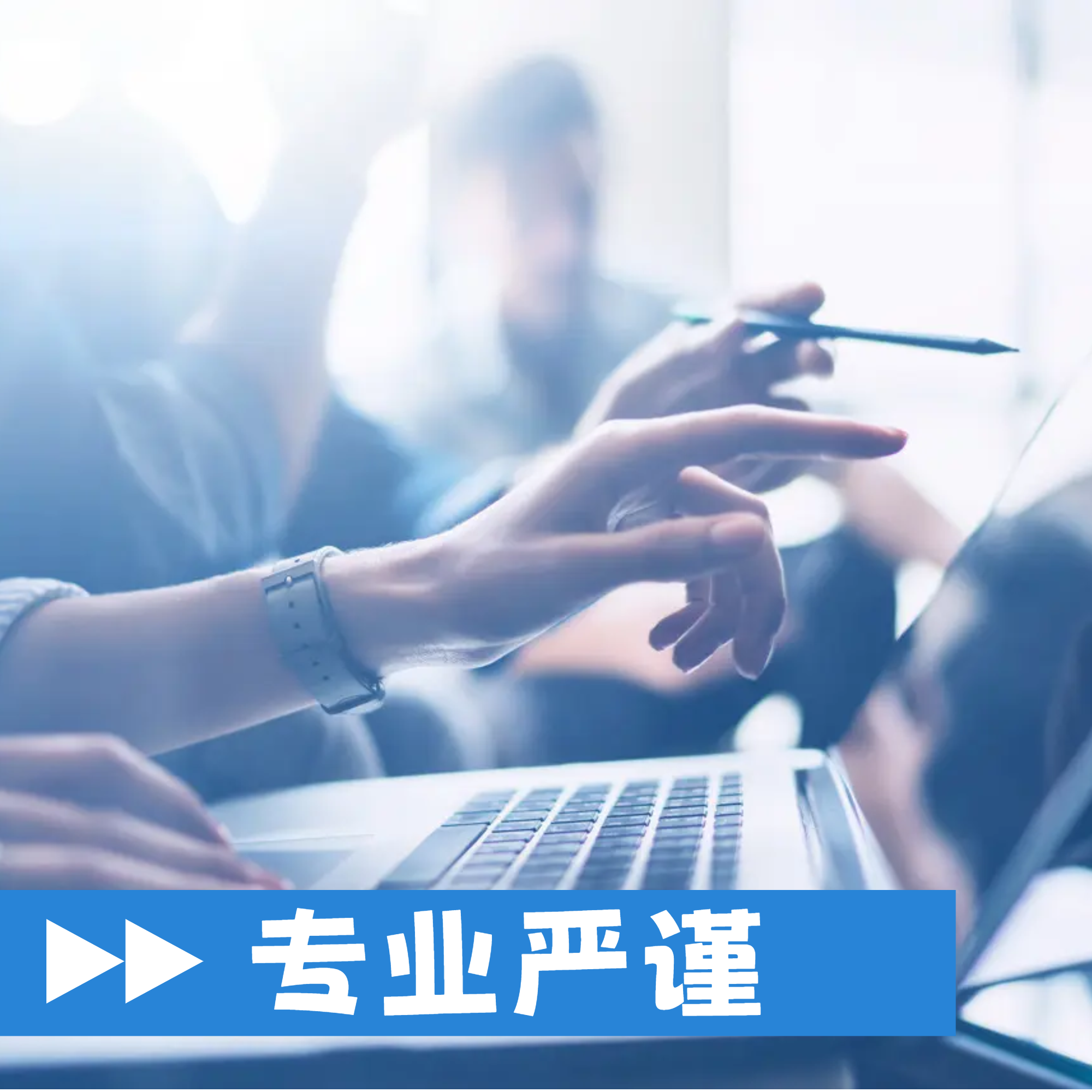 专业严谨